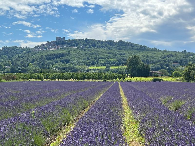 Provence — Lavender Fields & Hilltop Villages