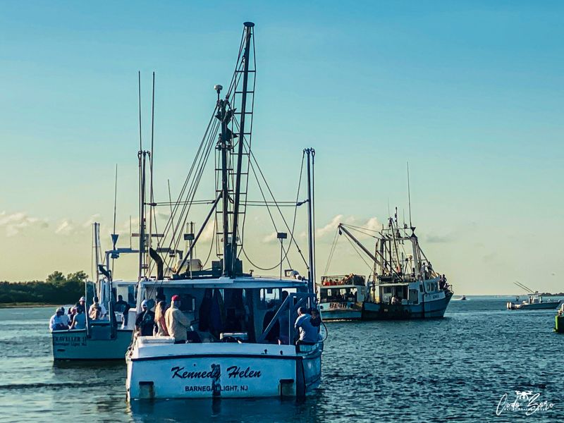 Expectations vs Reality