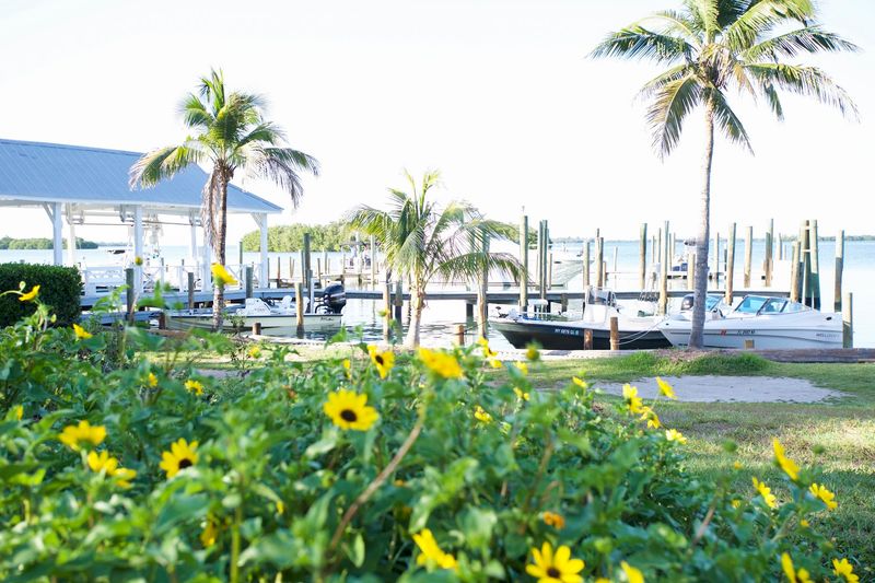 The Atmosphere and Outdoor Seating