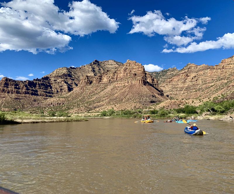 Meet the lithospheric drip