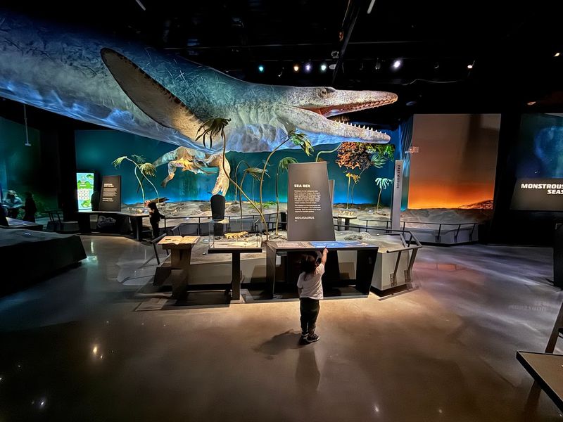 Interactive Exhibits That Keep Kids and Adults Engaged