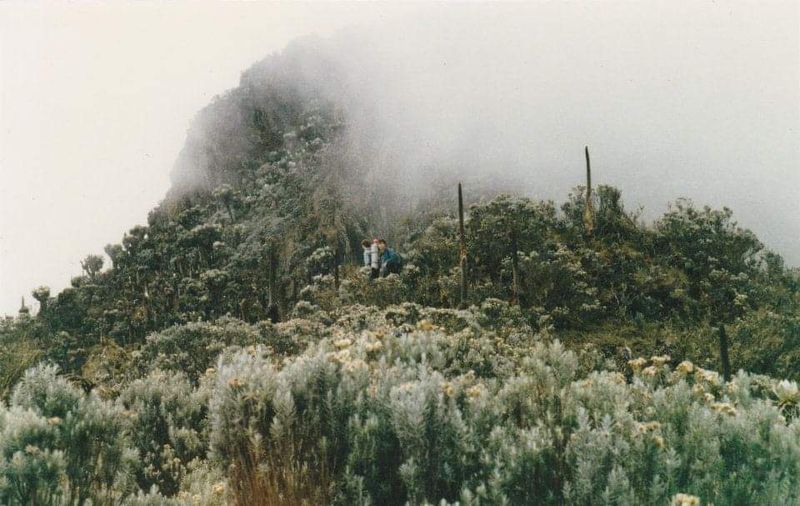 Rwenzori Mountains (“Mountains of the Moon”) - Uganda / DRC