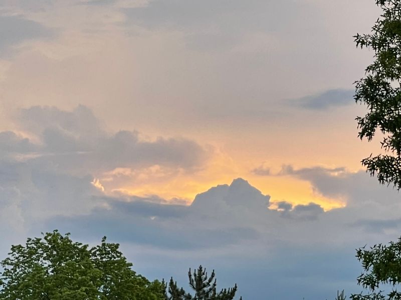 Buzzard Day - Hinckley, Ohio