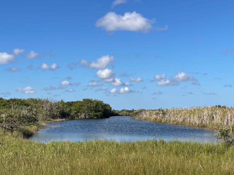 Prairie Soundscape Pullout