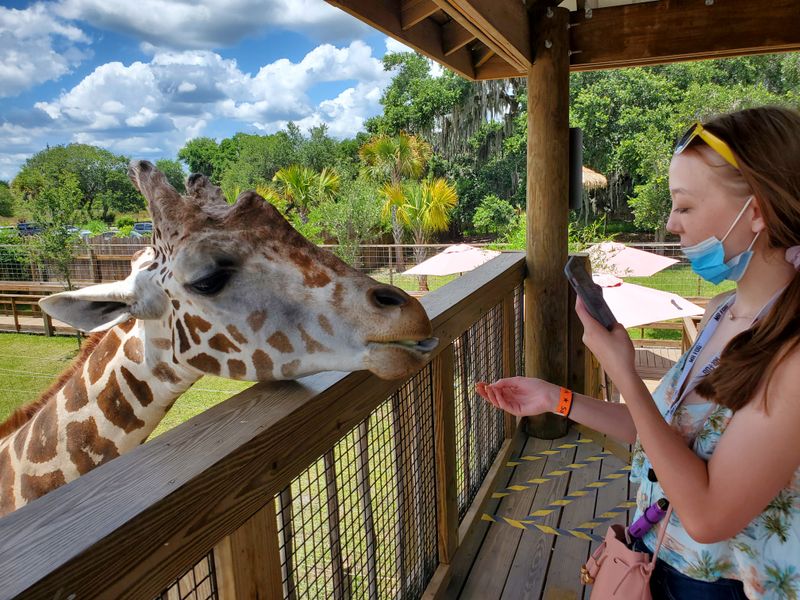 VIP encounters and keeper talks