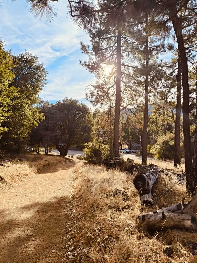 Cuyamaca Rancho State Park