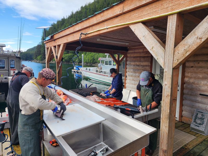 Processing, Packing, and Taking Alaska Home