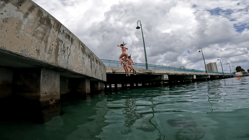 The Blue Heron Bridge Connection