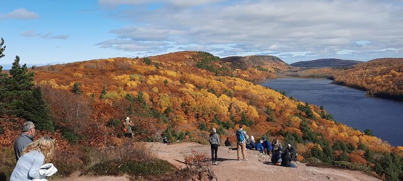 Wildlife, Soundscapes, and Small Encounters