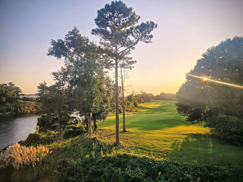 Course Conditions and What to Expect