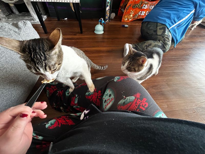 Plan Ahead: Reservations, Hours, And Contact