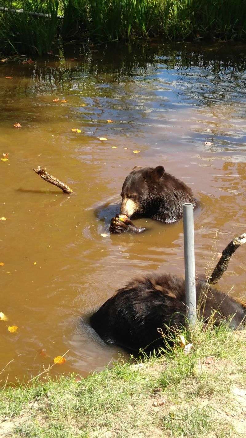 A Rescue Story With Heart