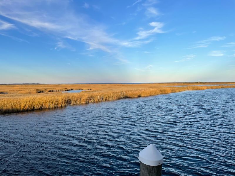The Wildlife Refuge Backdrop