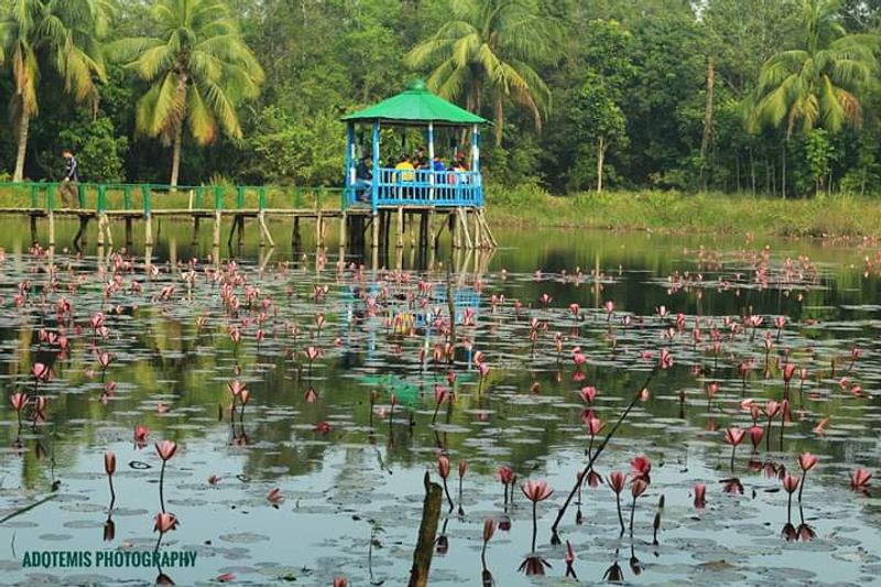 The Sundarbans (Bangladesh/India)