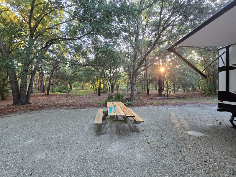 Campsites, cabins, and evening hush