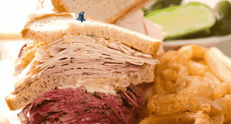 Menu highlights beyond the headline