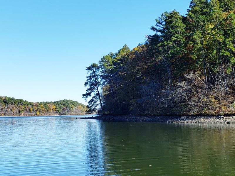 Stay in a Lakeside Cabin