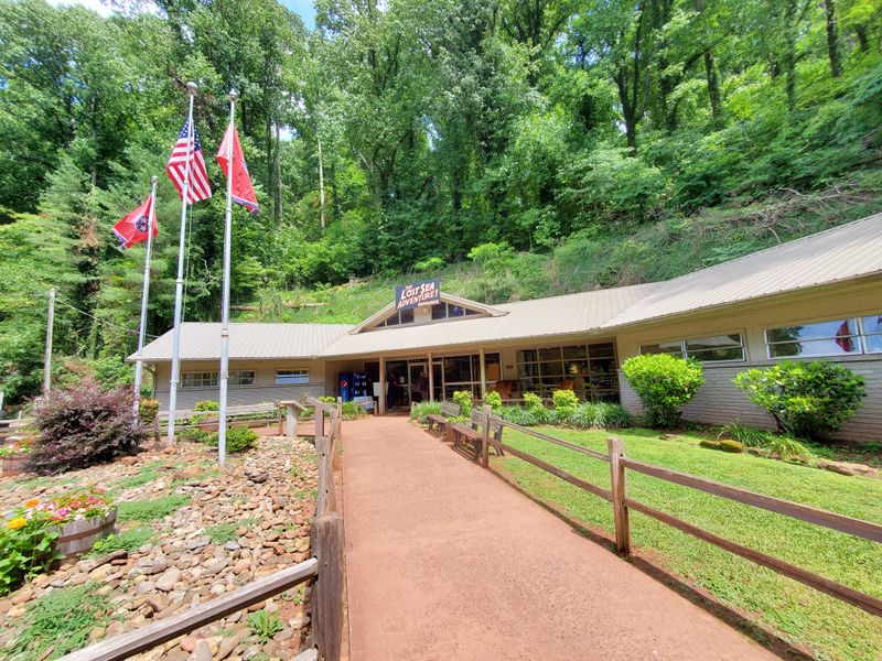 Expect a 0.75-mile round-trip walk that takes about 1 hour 15 minutes