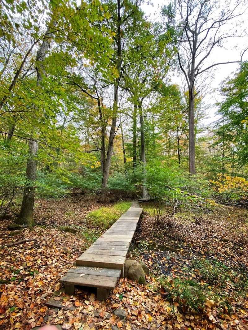 The Descent to the Hudson: What the Lower Trail Looks Like
