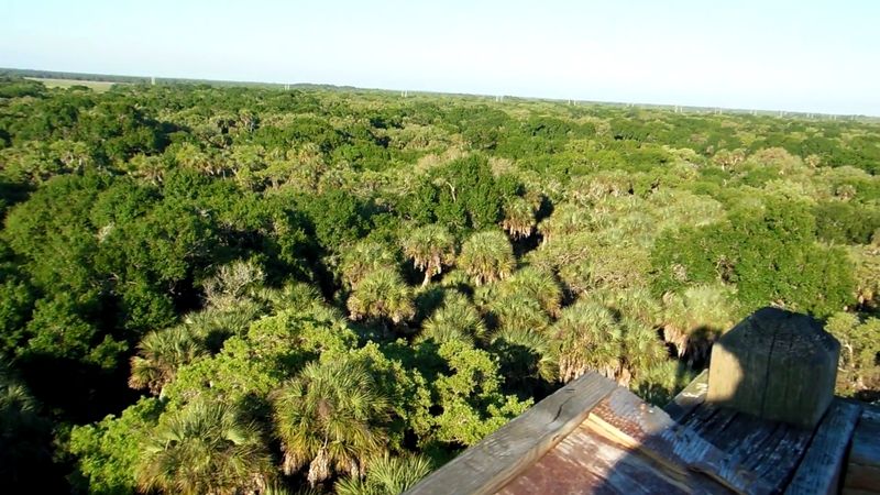 Seasonal Wildlife Watch