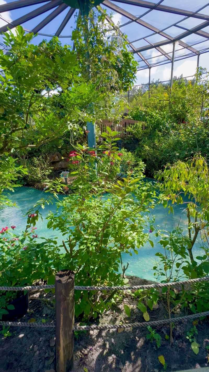 Wings of the Tropics Dome