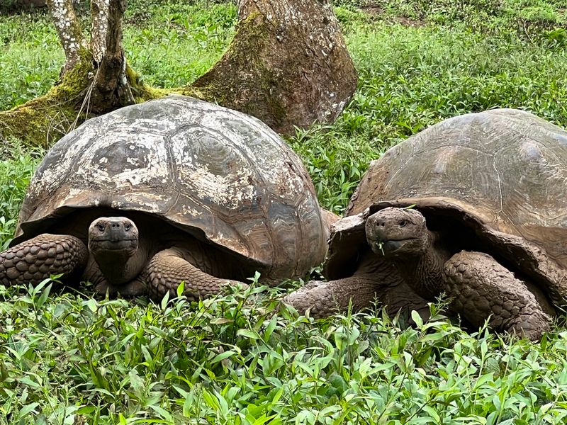 Galápagos National Park — Ecuador