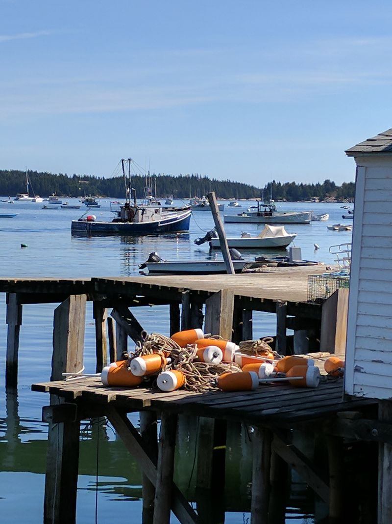 Lobster Truth: From Trap To Table