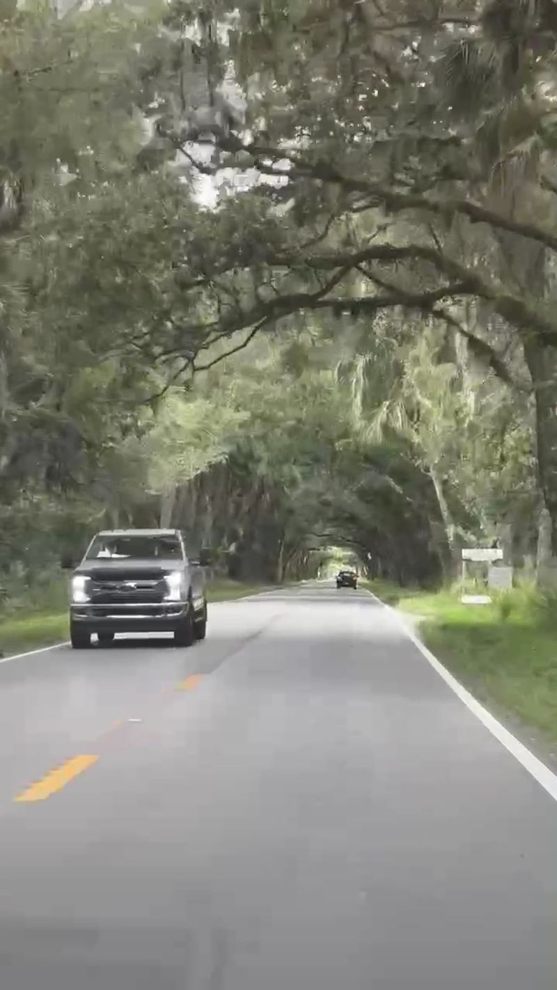 Whispering Pines Edge