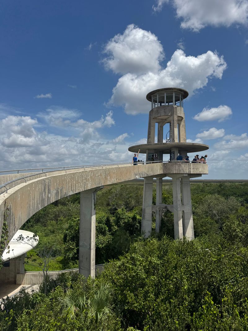 Halfway Observation Tower Climb