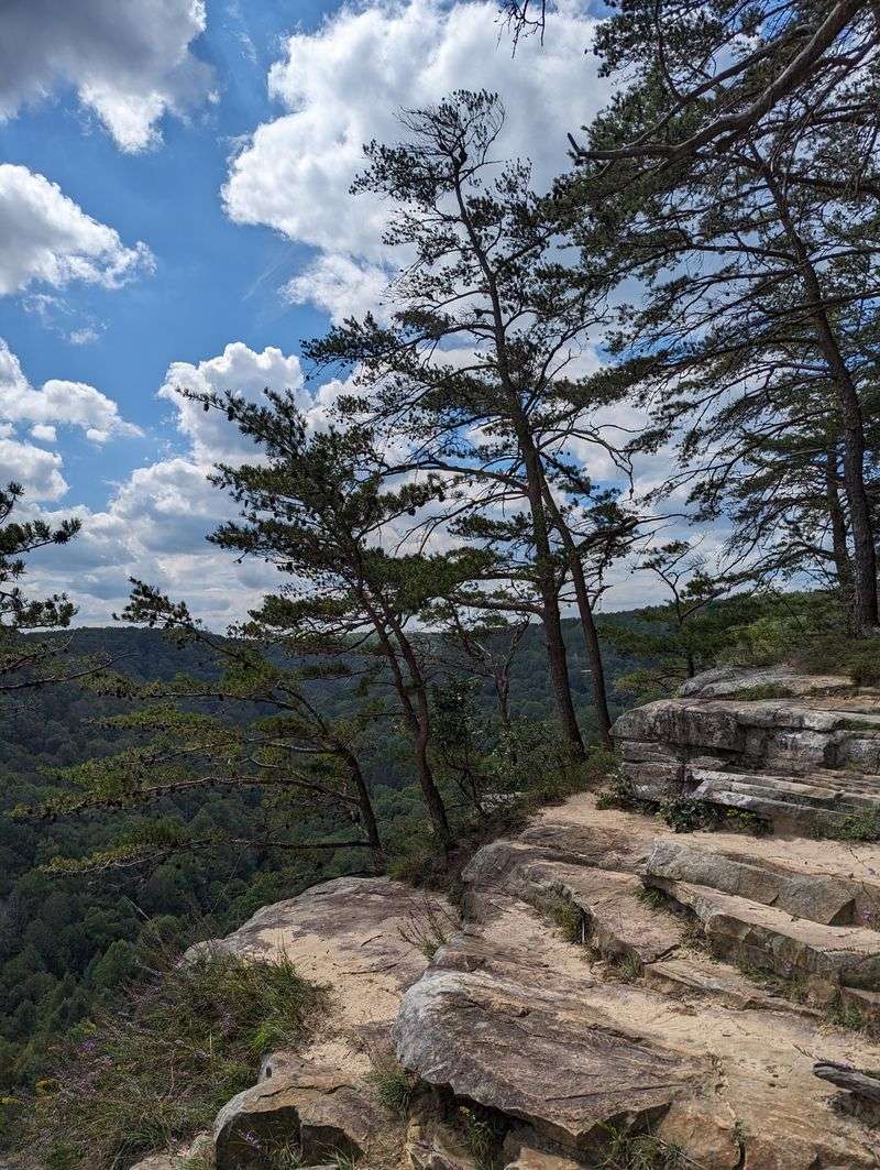 Savage Day Loop and Rattlesnake Point