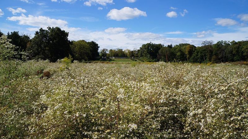 Duke Farms (Hillsborough)