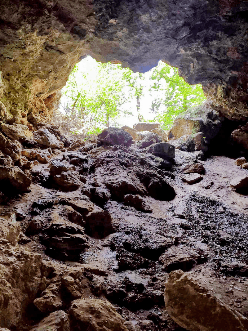 The Earthquake That Changed Everything