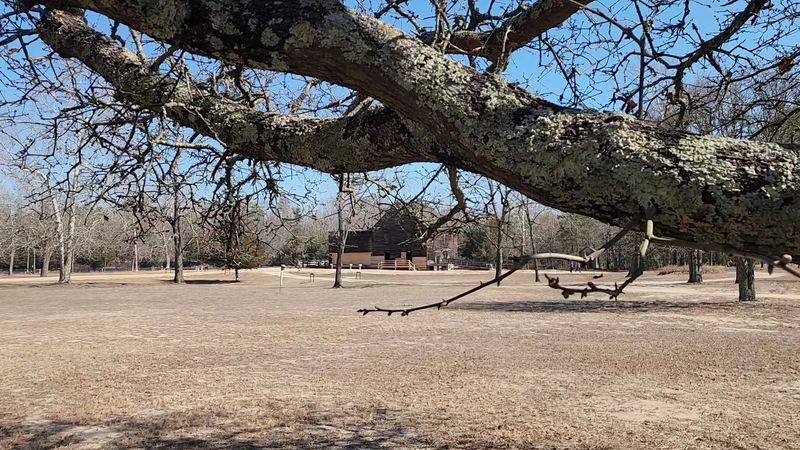 Picnic Areas and Family Amenities