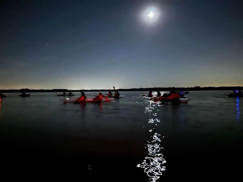 Wildlife That Crashes The Party