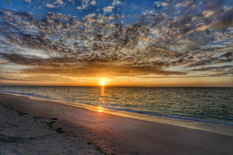 Dark Skies And Meteor Wishes