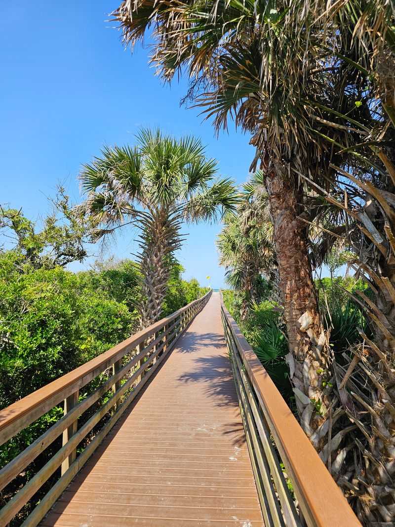 Trails, Boardwalks, And Hammock Shade
