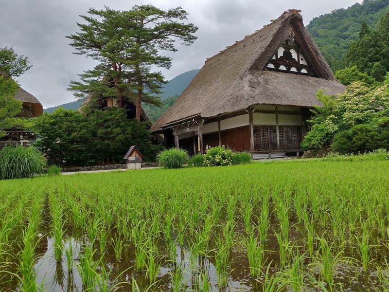 Shirakawa-go — Japan's Thatched Roof Village