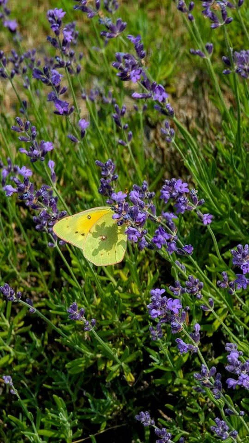 A Day Trip Worth the Drive