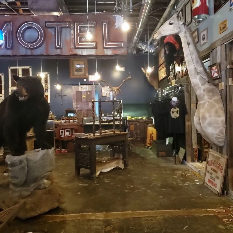 The Atmosphere Inside the Shop