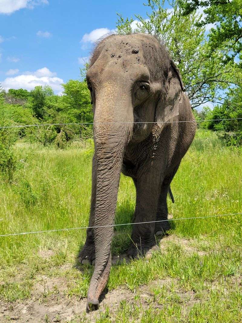 Learning About Conservation