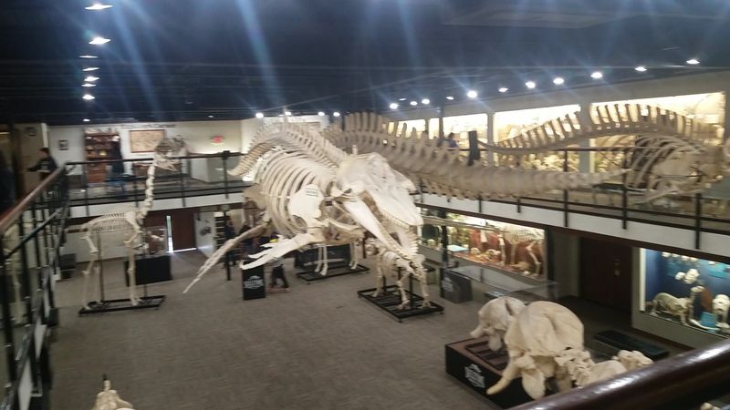 Forensic Nights and Special Events