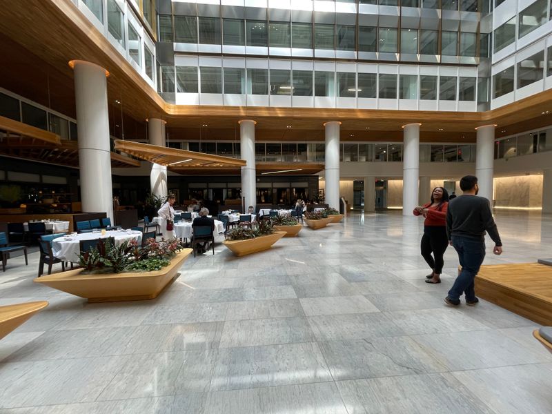 Atrium Watch: Light, Laughter, Lines