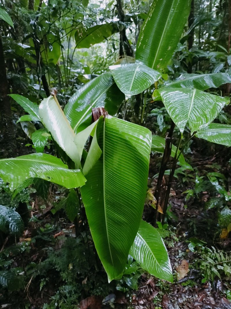 Humidity, Mold, and Bugs Take a Toll
