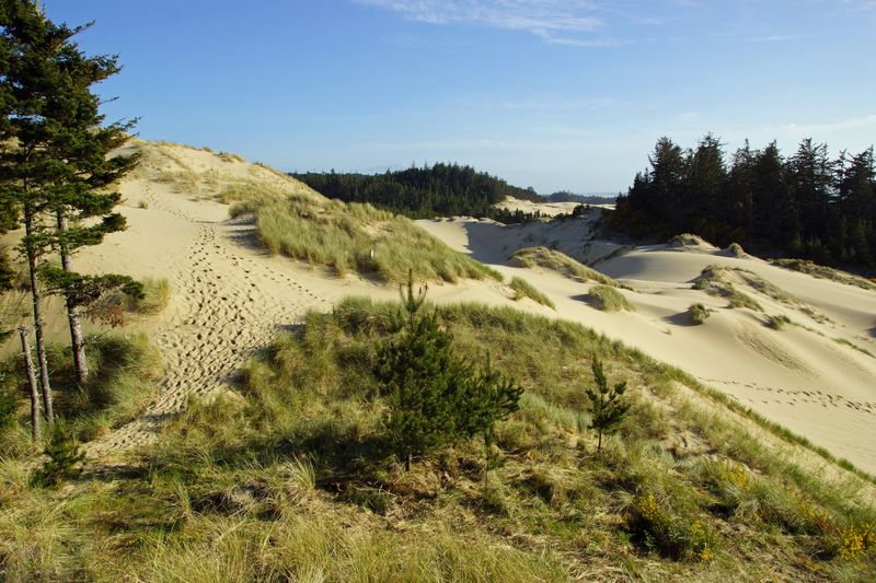 Oregon Dunes National Recreation Area (Florence–Reedsport area)