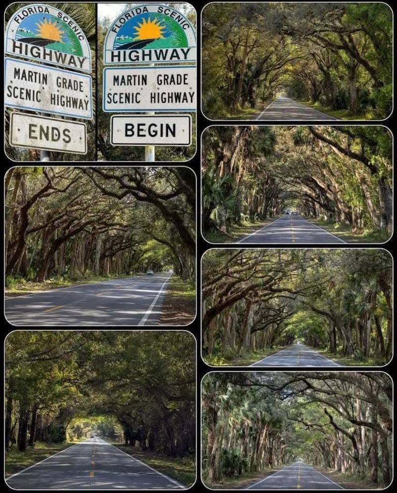 Grass-Side Sunrise Pulloff