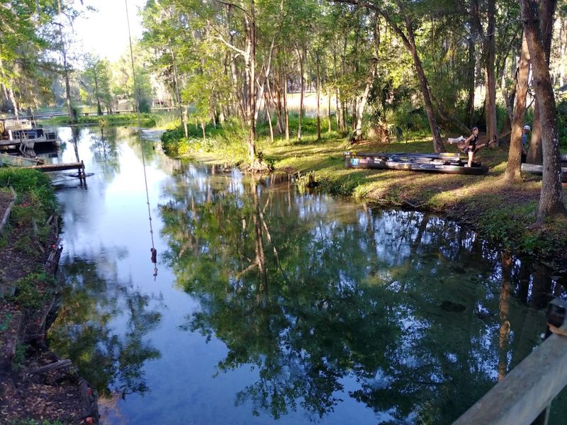 Picnic Like You Mean It