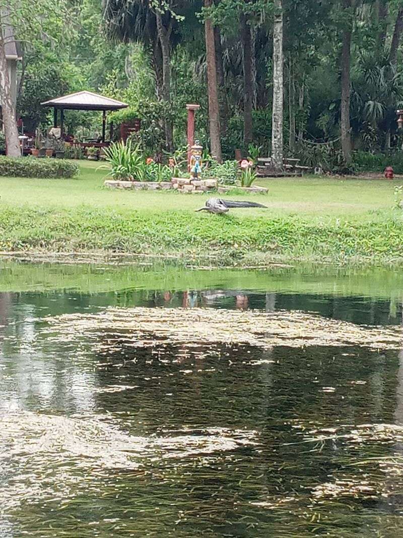 Picnic Like You Mean It