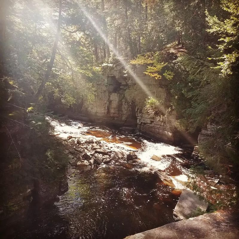 Wildlife and Plant Life