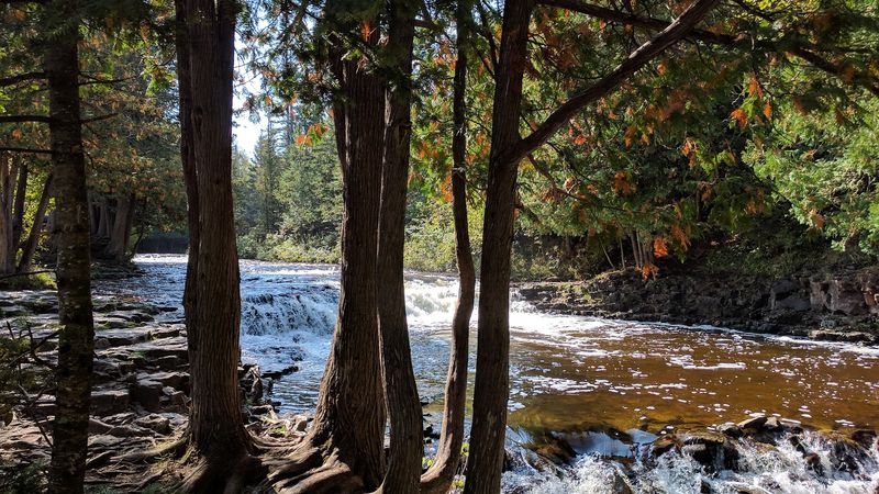 Best Times And Crowd Strategy