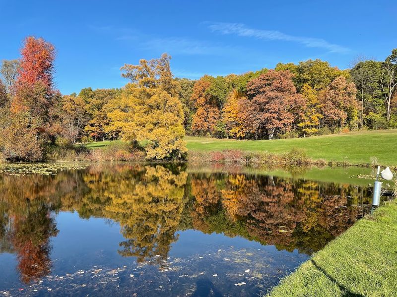 The Scenic Drive That Covers the Whole Property